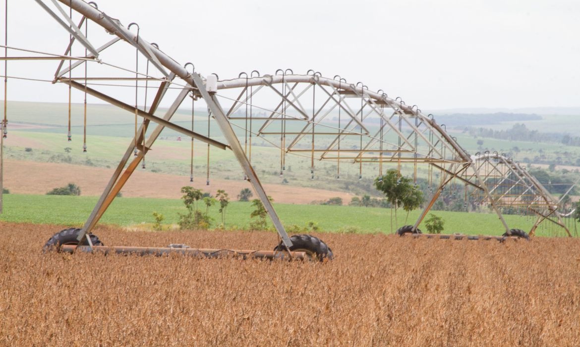 Valor da produção agrícola foi recorde em 2019 e atingiu R$ 361 bi © Tony Oliveira/CNA/Direitos Reservados