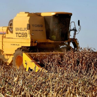 Valor da Produção é de R$ 221,2 bilhões em julho