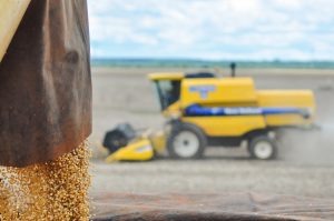 MS inicia outubro com quase 90% da safra 2017/18 de soja comercializada Divulgação