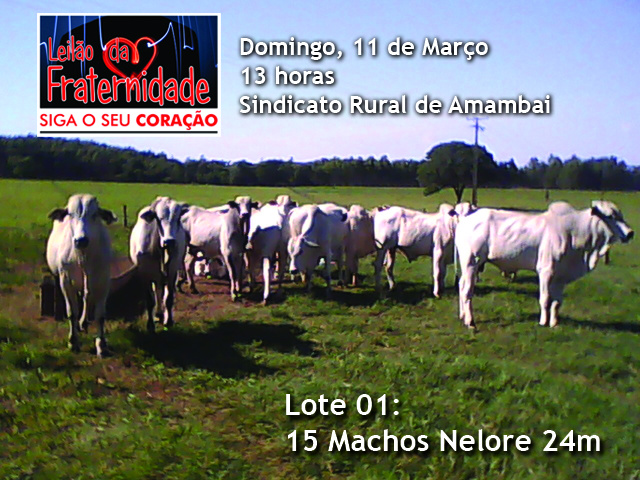 1º Leilão da Fraternidade acontece neste domingo (11)