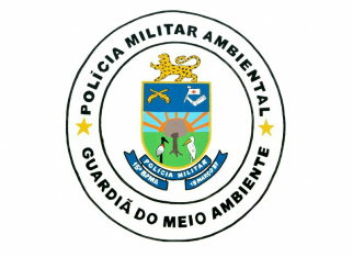 PMA recolhe ao CRAS ouriço-cacheiro atacado por cachorro em Coxim