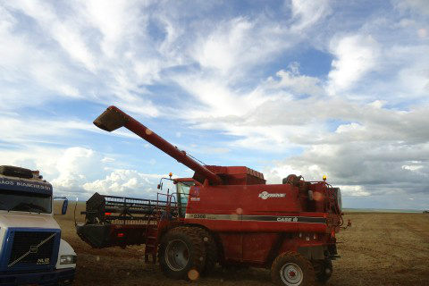 Foto: Assessoria de Imprensa Sistema Famasul