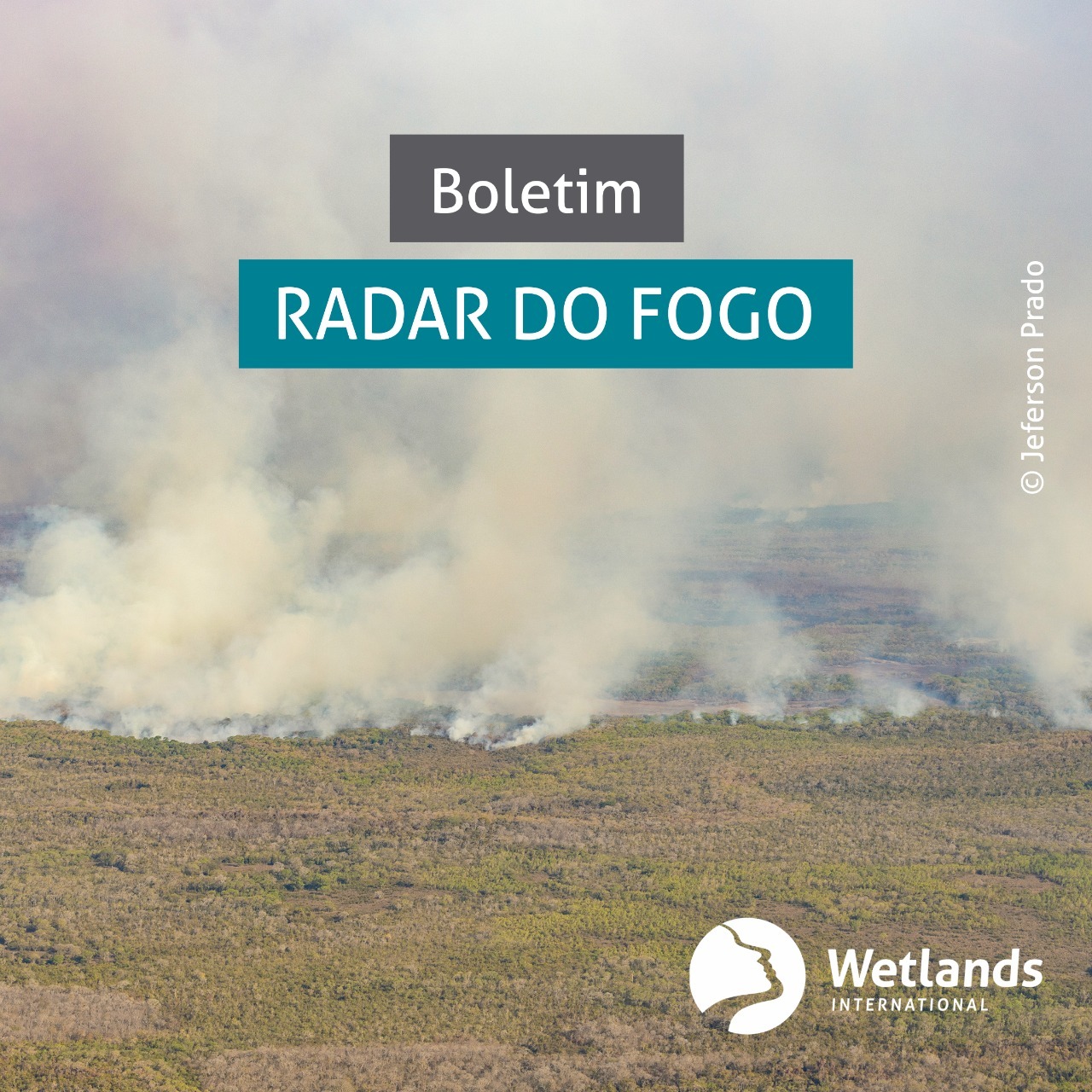 Setembro já é o mês com maior número de focos de incêndio no Pantanal desde 1998