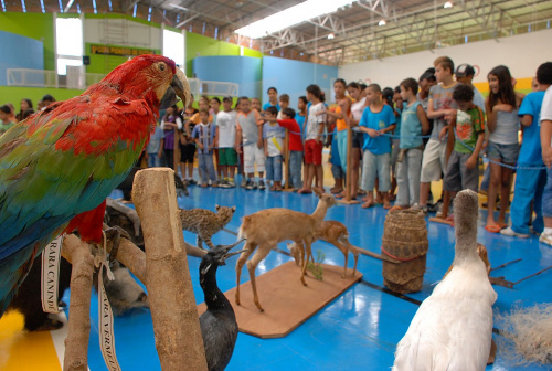 PMA doa 3.000 mudas e planta mais 500 durante a comemoração à semana da Árvore