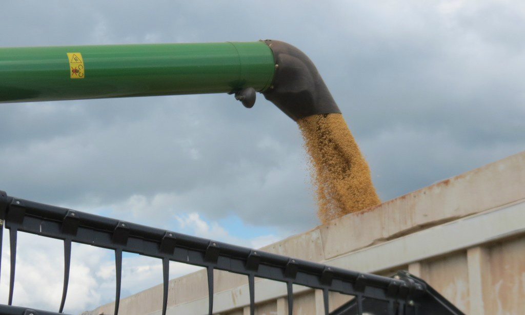 China importa U$ 2,8 bilhões em produtos agropecuários brasileiros China importa U$ 2,8 bilhões em produtos agropecuários brasileiros