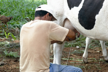 Agricultura Familiar: Governo investe R$ 51 milhões e leva assistência a 70 mil famílias Agricultura Familiar: Governo investe R$ 51 milhões e leva assistência a 70 mil famílias