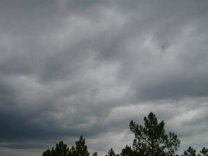 Temperaturas seguem amenas em todo MS nesta sexta-feira