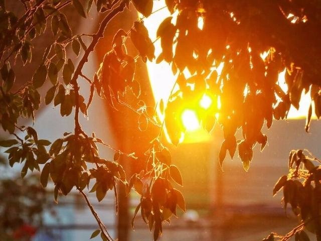 Mínima de 18ºC em Campo Grande nesta segunda-feira (22). (Foto: André Bittar)