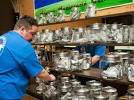 Dispensário no Colorado, que arrecada US$ 129 milhões por ano com impostos sobre a cannabis / Foto: Divulgação