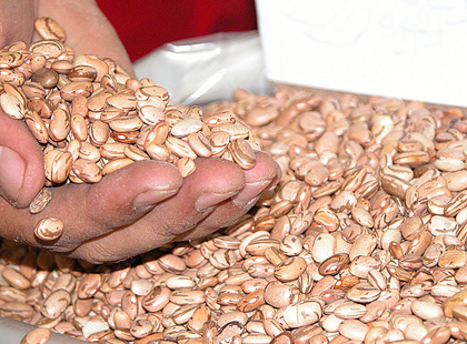 Portaria da Sefaz altera valor real do feijão