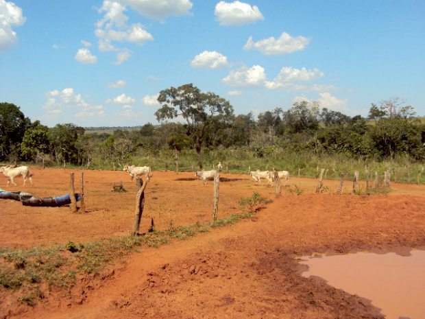 Produtor é multado em R$ 20 mil por causa de erosão em fazenda em MS