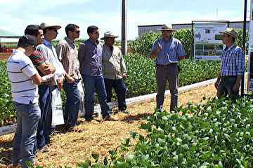 Feira em MS apresenta novidades para lavouras de soja e milho