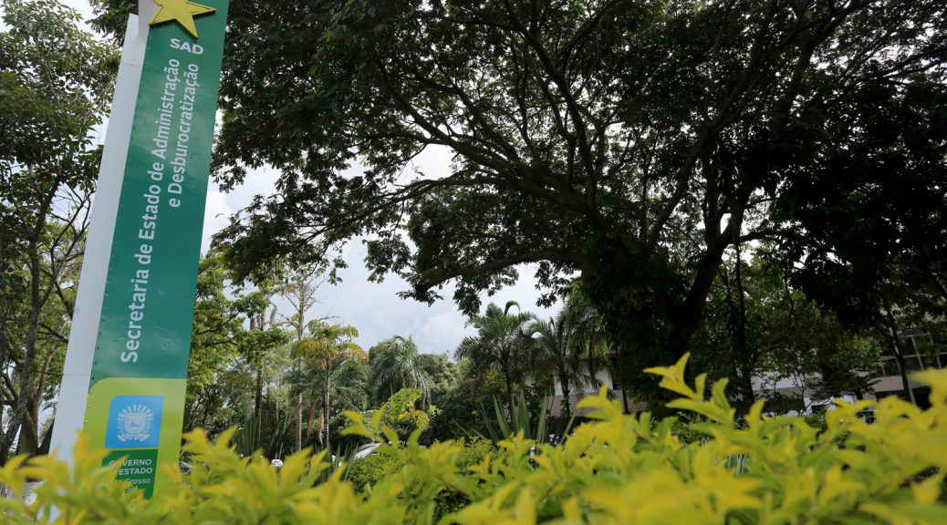 Governo vai selecionar talentos para atuar na gestão do desempenho Foto: Divulgação
