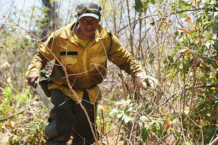 Indígenas se arriscam no combate a incêndios criminosos na Amazônia e Pantanal Indígenas, que estão combatendo o fogo em seus territórios, relatam a intoxicação pela fumaça e queimaduras - Felipe Werneck- IBAMA