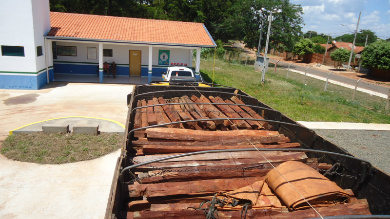 PMA autua empresa pela 2ª vez por transporte ilegal de madeira protegida