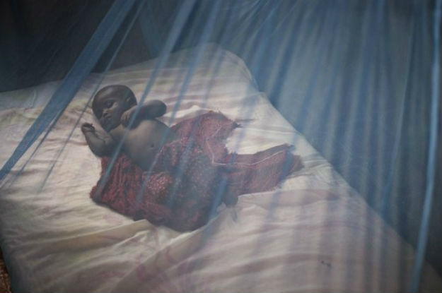 Relatório da OMS mostra que é possível eliminar a malária até 2030