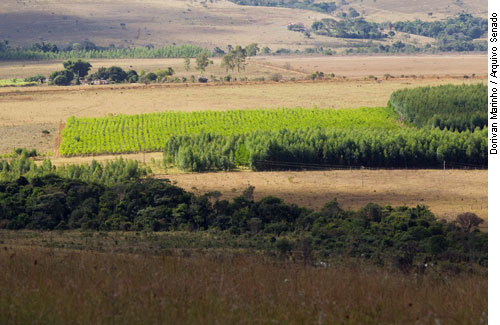 Emendas restringem legalização de desmatamentos em APPs e reservas legais