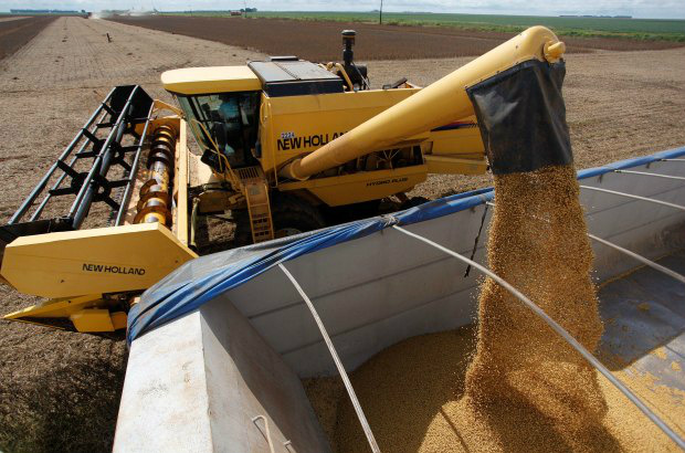 Soja brasileira é conhecida na China pelo alto teor de proteína