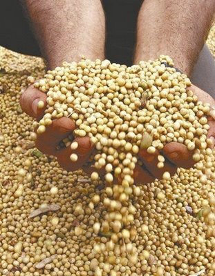 Safra reduz 8,4% e chega a 571,4 milhões de toneladas