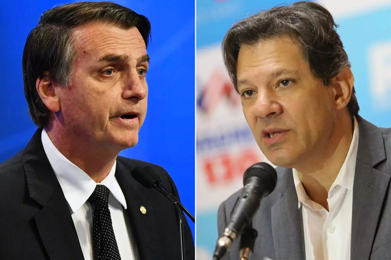 Jair Bolsonaro e Fernando Haddad  /  Foto: VEJA