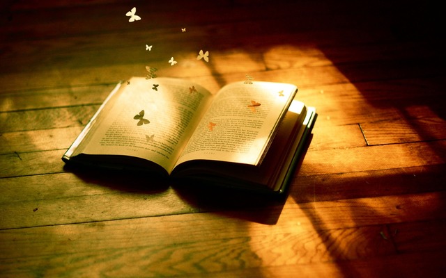 19 de Dezembro - Dia Estadual da Poesia (Mato Grosso) 19 de Dezembro - Dia Estadual da Poesia (Mato Grosso)