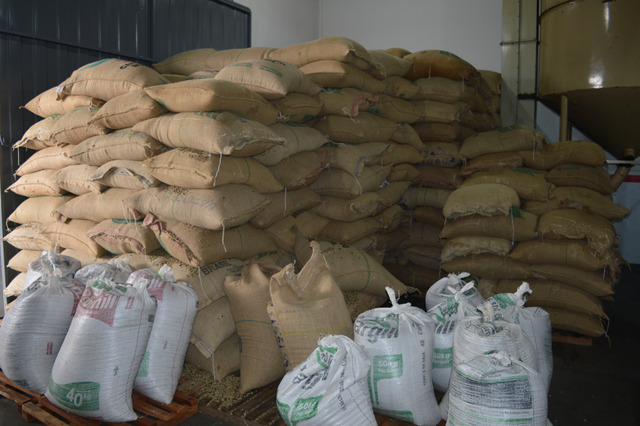 O café vem de Minas Gerais e Paraná em sacas de 60 quilos / Foto: Moreira Produções