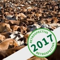 2017 foi um ano histórico para erradicação da febre aftosa 2017 foi um ano histórico para erradicação da febre aftosa