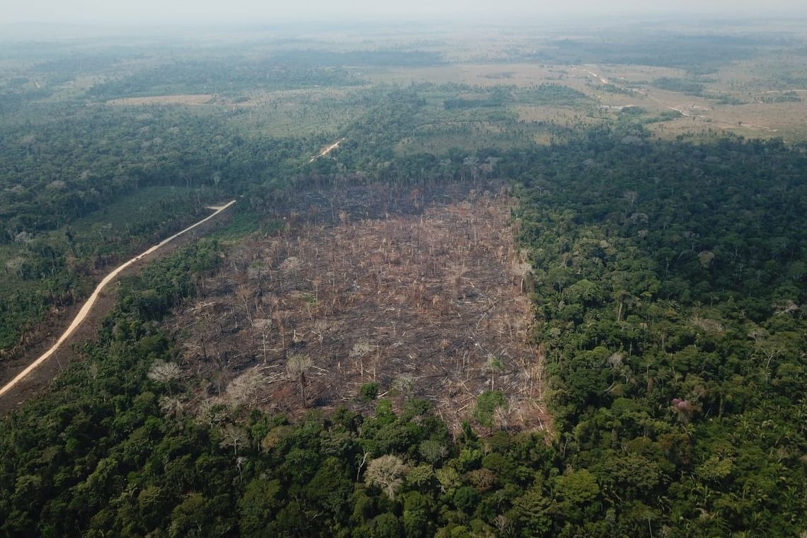 Op VERDE BRASIL/17