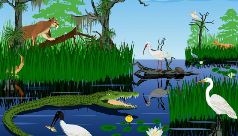 Pantanal: como a natureza construiu a maior planície que alagada do planeta? Pantanal: como a natureza construiu a maior planície que alagada do planeta?