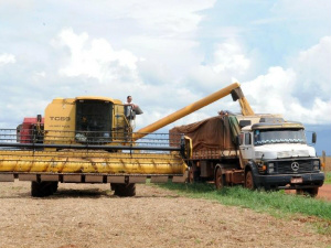 Conab prevê safra recorde de grãos este ano, de 186 milhões de toneladas