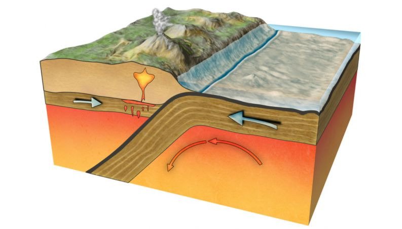 Pantanal: como a natureza construiu a maior planície que alagada do planeta?