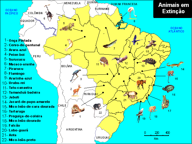 Brasil consegue apoio de 120 países para coibir comércio de animais em extinção Brasil consegue apoio de 120 países para coibir comércio de animais em extinção