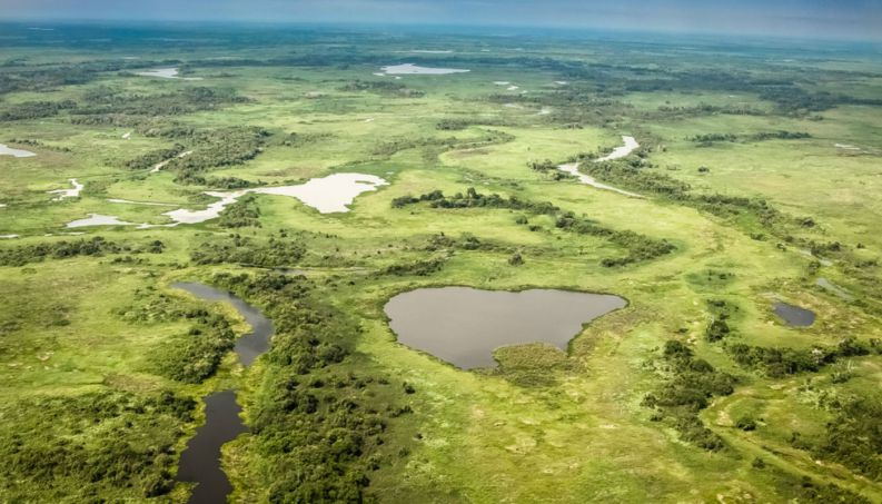 Pantanal: como a natureza construiu a maior planície que alagada do planeta?