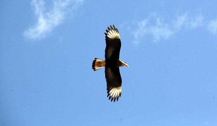 Foto: Chico Ribeiro