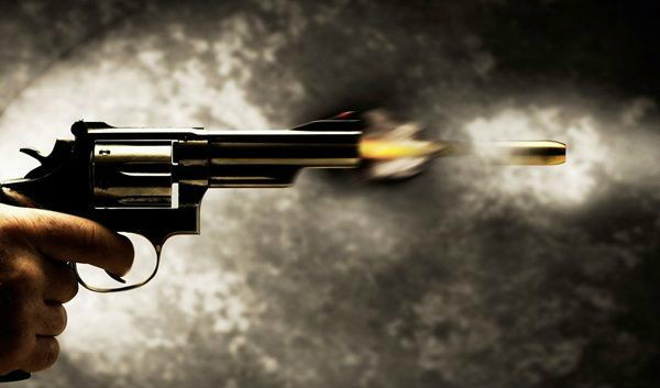 Projeto regulamenta aquisição e circulação de armas de fogo no País Divulgação
