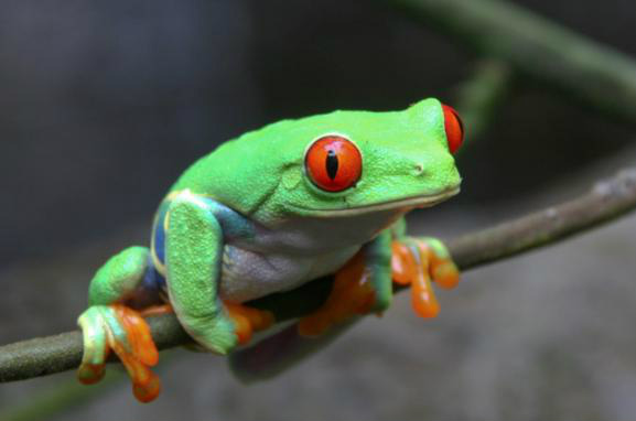 O apocalipse existe. Ele é ecológico