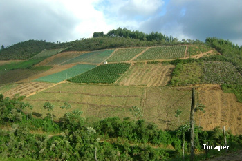 Termina hoje (30) prazo de entrega da declaração do Imposto Territorial Rural