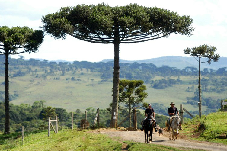 Com alta do dólar, turismo rural deve crescer em 2016
