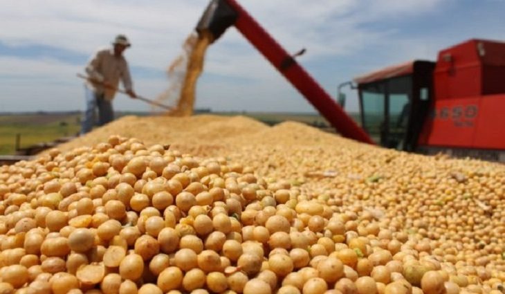 Exportações de MS somam 4,6 bilhões de dólares em setembro Foto: Arquivo