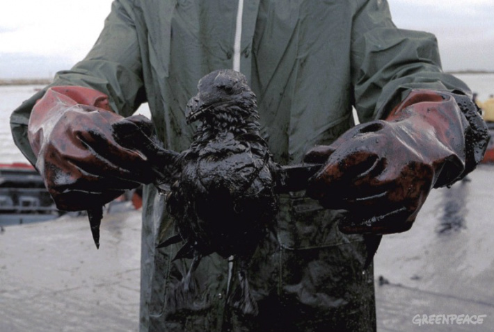 Brasil e União Europeia discutem a poluição por óleo Foto: Greenpeace