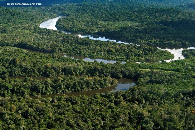 Programa é o maior trabalho de conservação de florestas tropicais na história. Foto: Arquivo AG