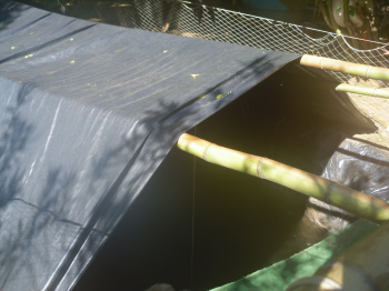 Polícia Ambiental autua pescador por captura de 1500 peixes para iscas em período de piracema