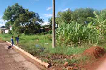 O local virou atração para crianças que circulam pela rua Sebastião Espíndola. 