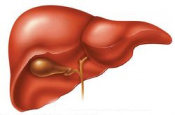 Hepatologistas querem apoio de outras especialidades para combater síndrome metabólica Fígado