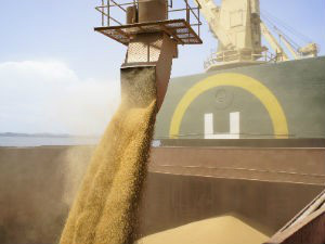 Alto valor da soja inflaciona mercado de imóveis rurais em MS