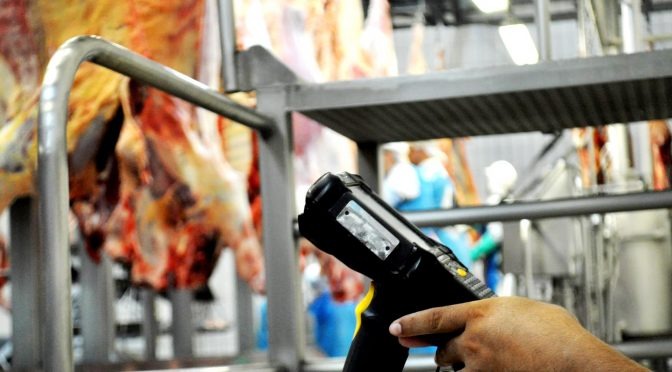Cadastro no Precoce MS deve ser atualizado até 15 de janeiro Foto: Divulgação