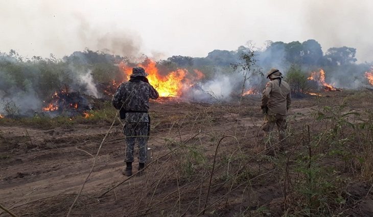Sem previsão de chuvas no Pantanal, combate aos focos de calor se intensifica Fotos: Divulgação/Corpo de Bombeiros