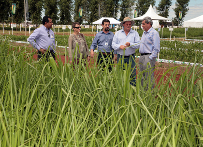 Abertura da 7ª Dinapec
