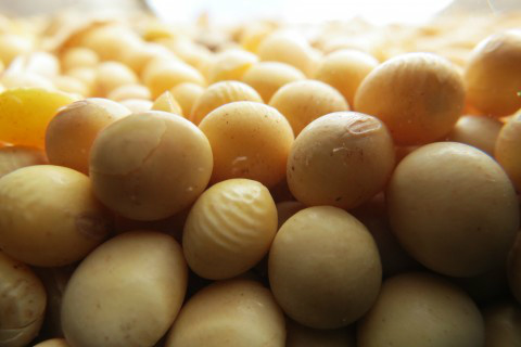 Foto: Assessoria de Imprensa Sistema Famasul