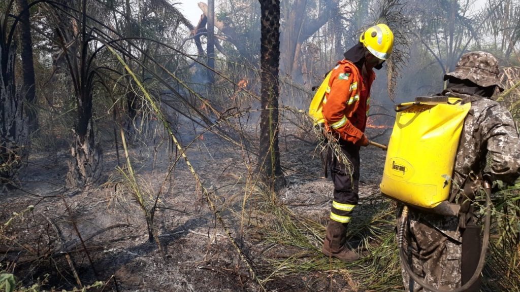 Sem previsão de chuvas no Pantanal, combate aos focos de calor se intensifica Sem previsão de chuvas no Pantanal, combate aos focos de calor se intensifica